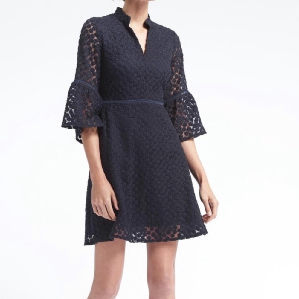 BR Embroidered Dress with Peplum Sleeves